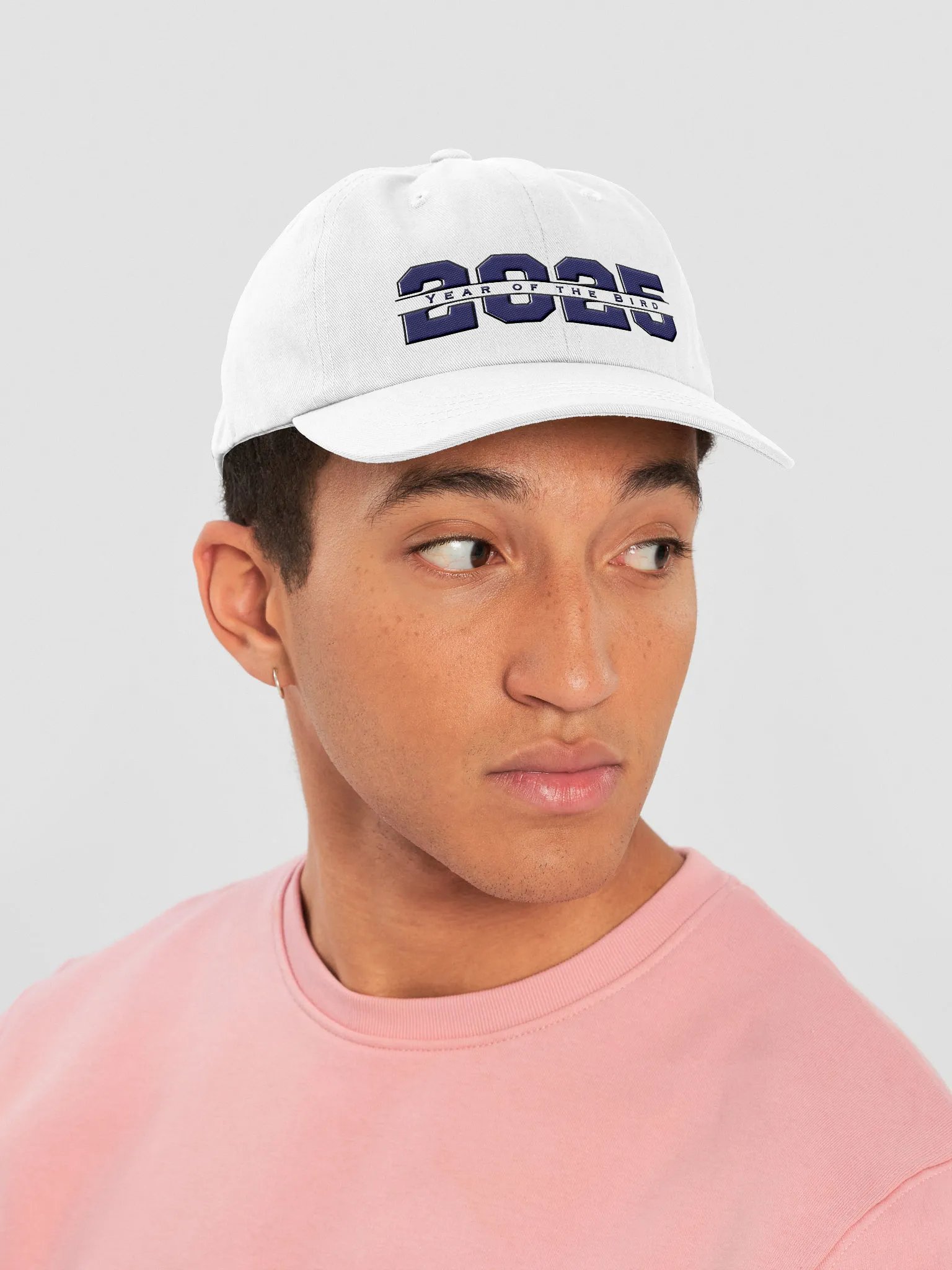 Navy "Year of the Bird" Cap product image (3)