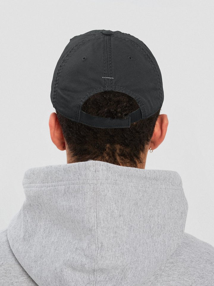 Q2 Earnings | White | Distressed Dad Hat product image (2)