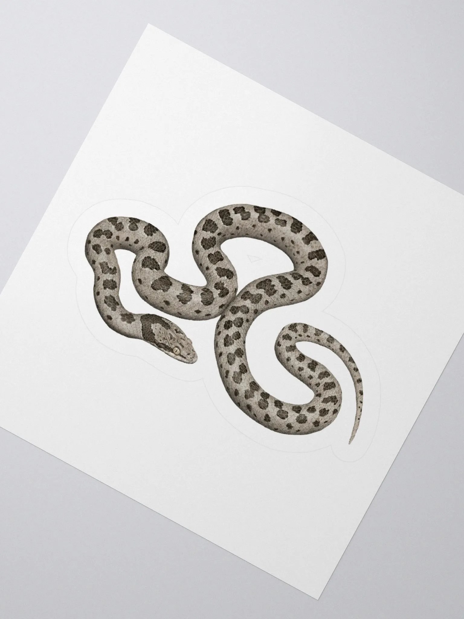 Die-Cut Sticker – Desert Nightsnake product image (2)