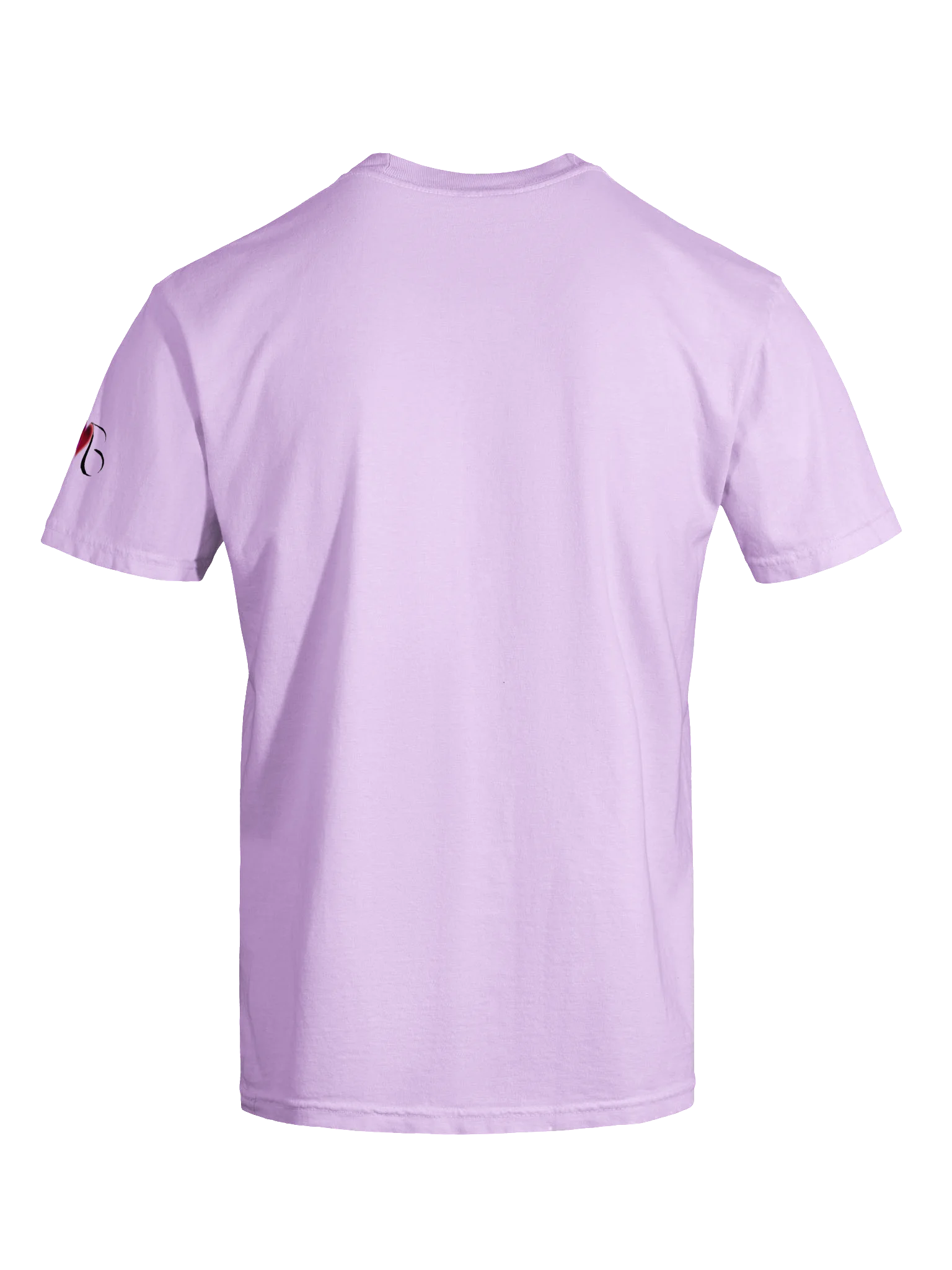 Buddlea Heavyweight T-shirt product image (7)