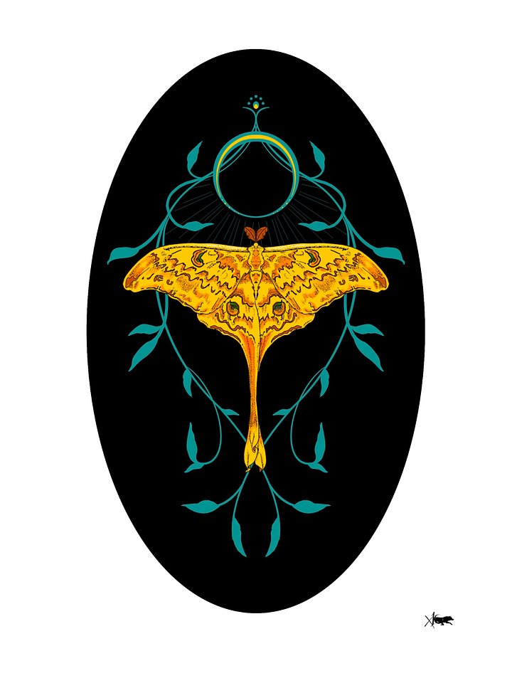 Madagascan Moon Moth product image (1)