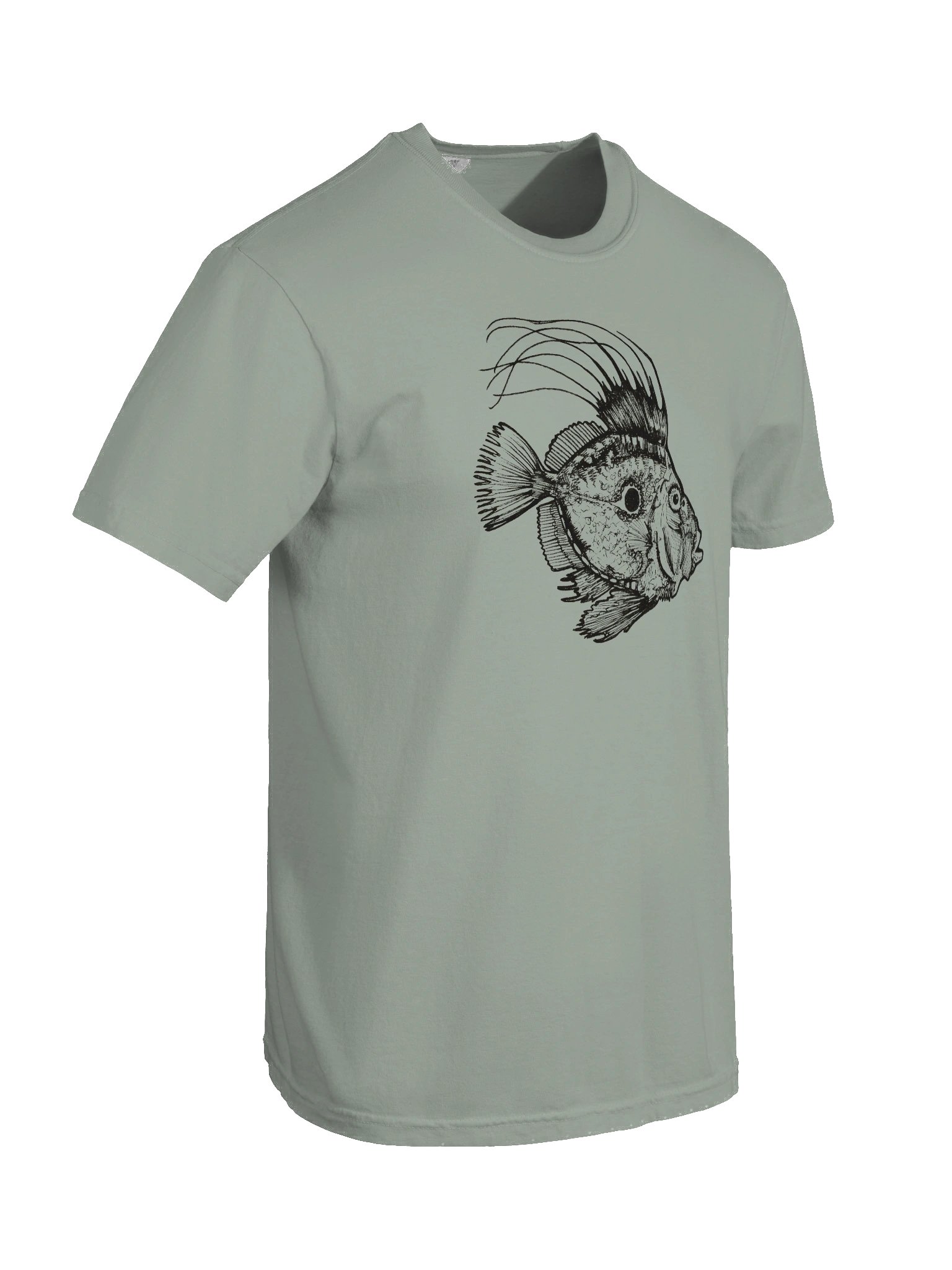 John Dory - Print product image (18)