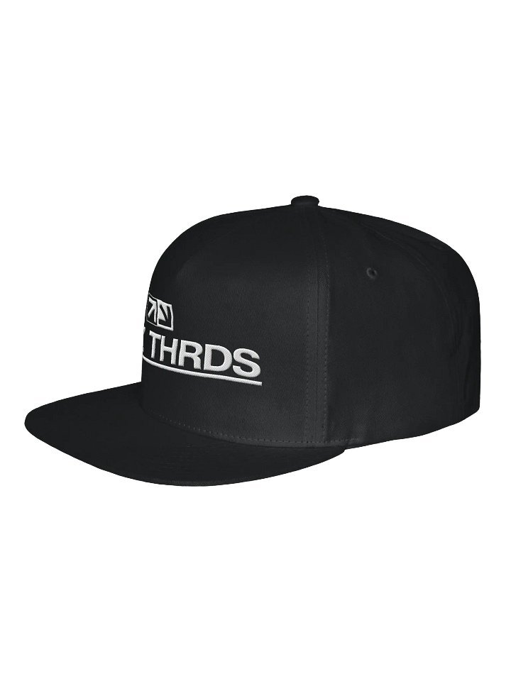 JBZ THRDS snapback product image (2)
