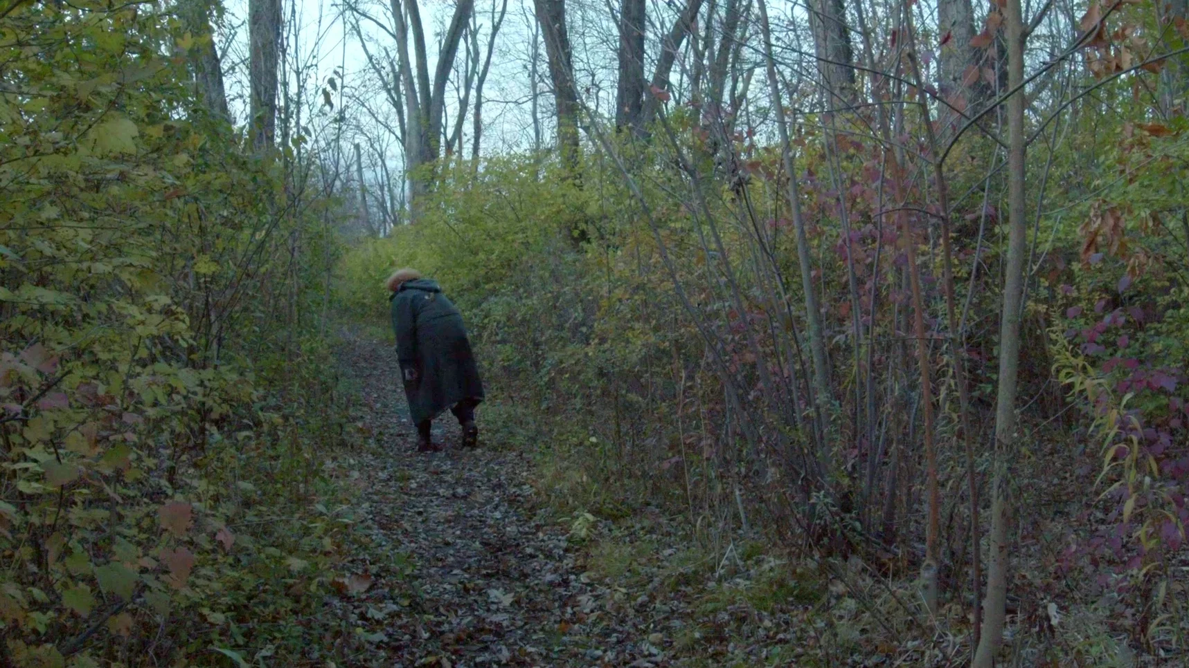 The Good Assassin (Film) product image (3)