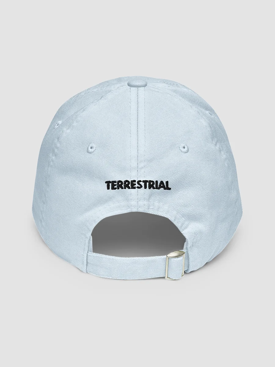 LIMITED EDITION - Grow Positivity Pastel Hat product image (2)
