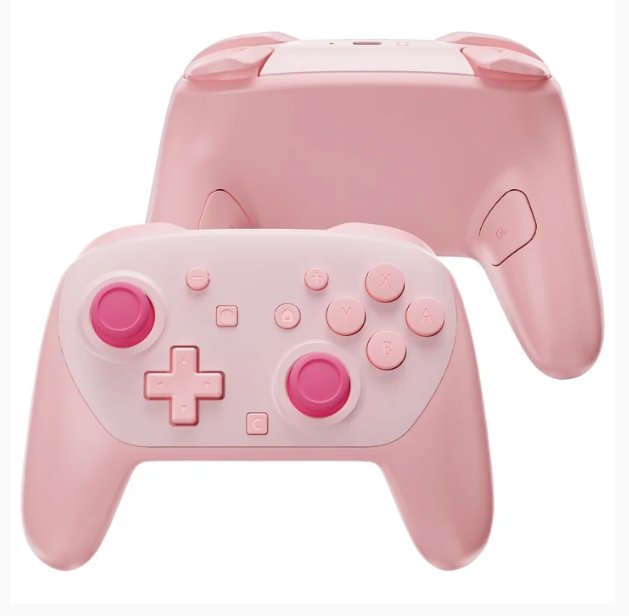 nintendo switch 2 pro controller product image (1)