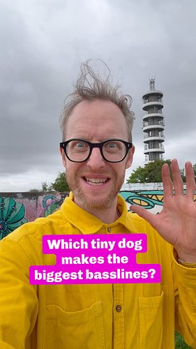 This dog’s got wobs 🐶