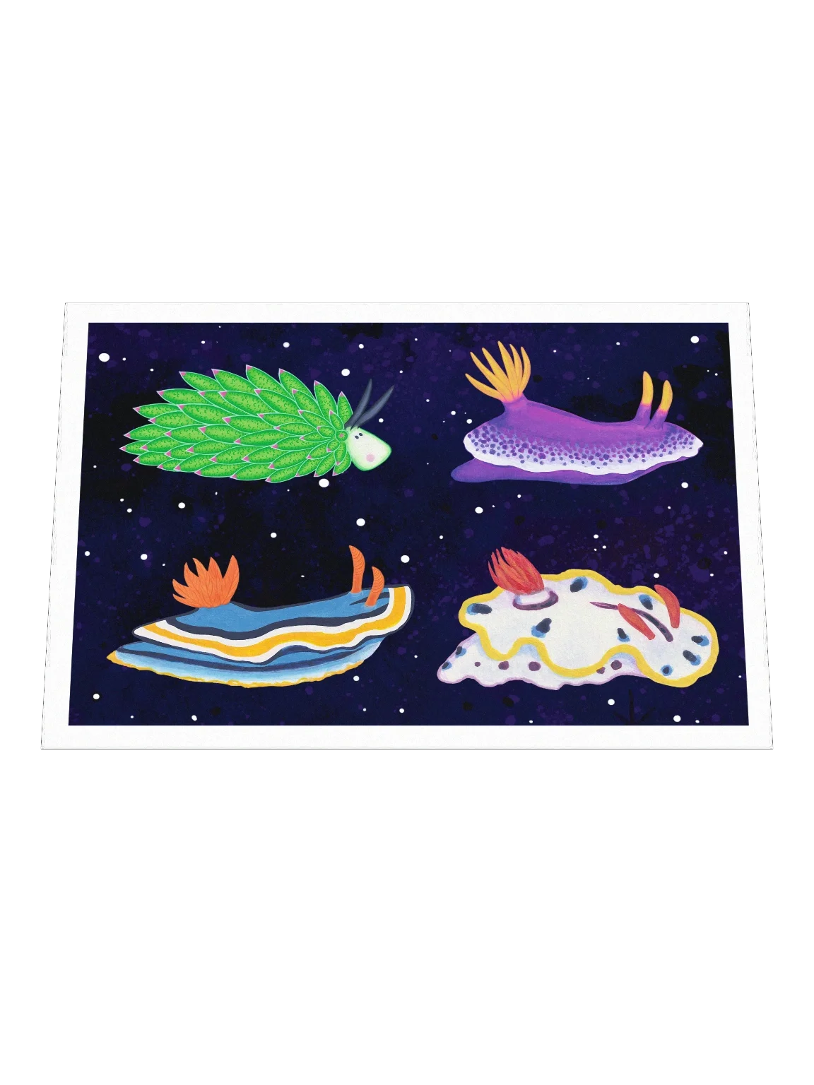Sea Slugs: Set 2 - Print product image (2)