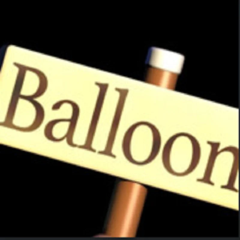 BBBalloonBoy 1 Hour Coaching product image (1)