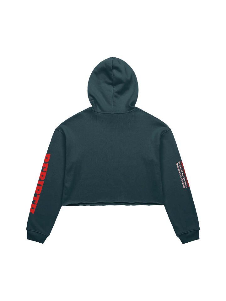 Rebirth Cropped Hoodie product image (2)