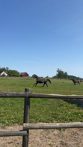 VI HÖR ER OCH VI FÖRSTÅR… ❤️

Några tycker att vi lägger ut för mycket på sociala medier. Andra tycker att vi borde ha färre ...