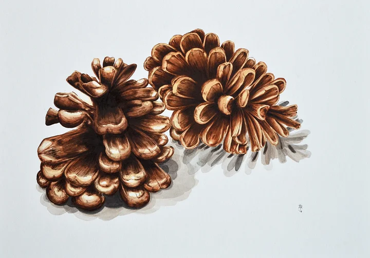 original artwork : cones product image (1)