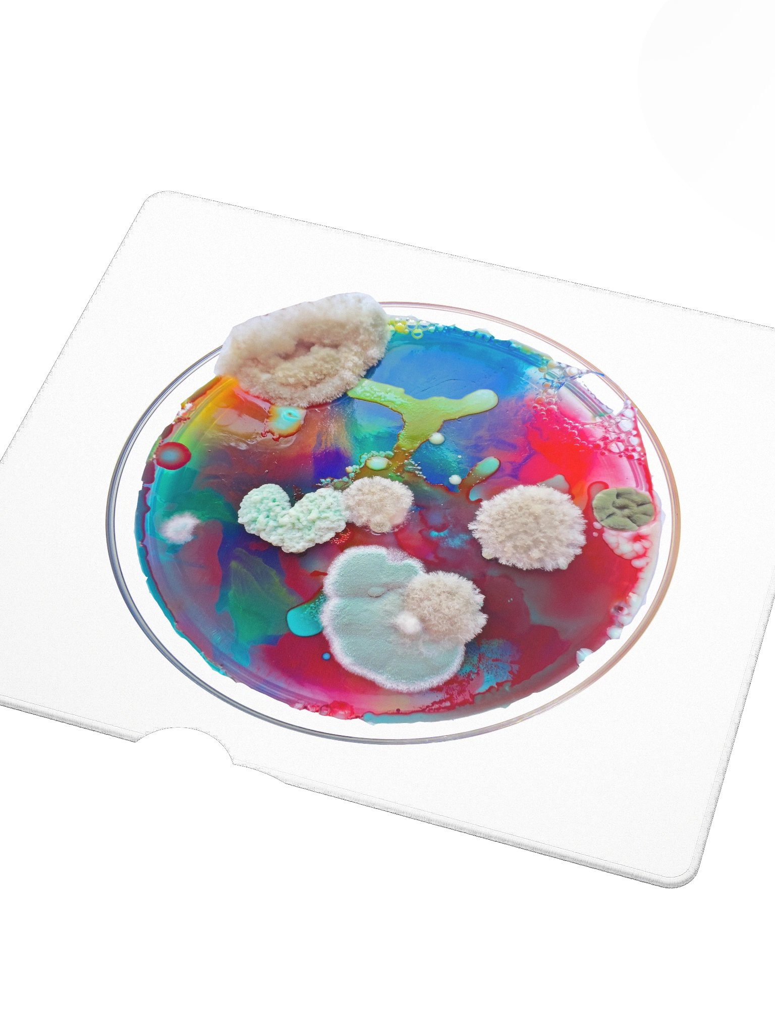 Gaming dish product image (3)