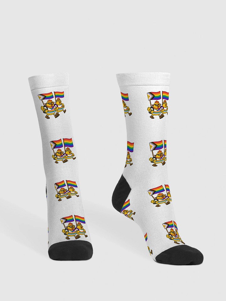 CFSV Pride Parade product image (2)