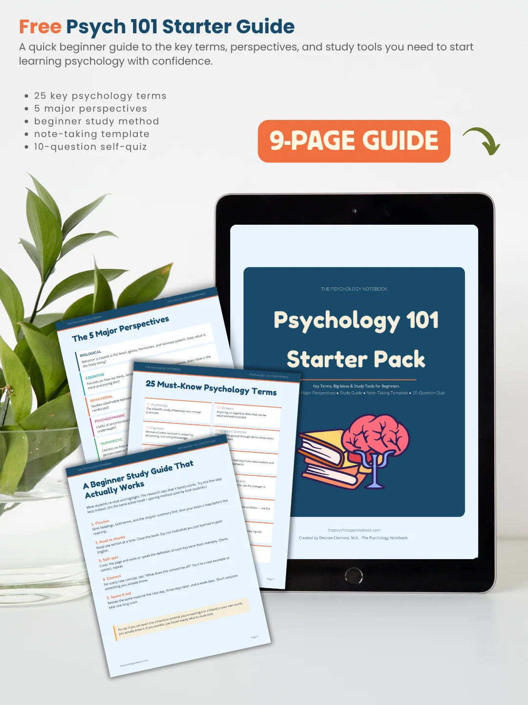 Psych 101 Starter Guide | Free product image (2)