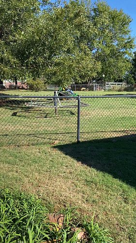 I mowed all 3 acres. This is where dreams are built. So much work to do. #alwaysforward