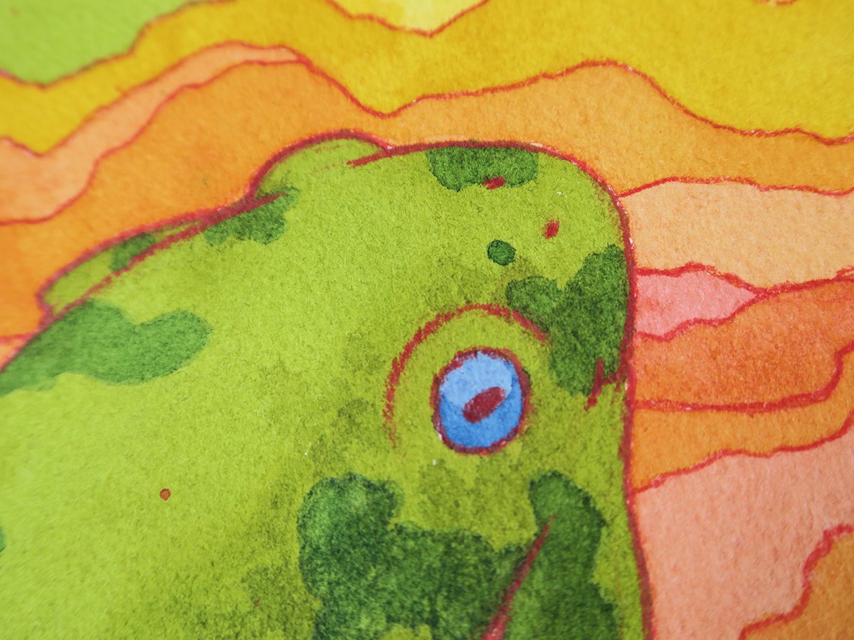 original artwork : trippy frogs product image (4)