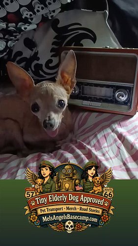 Tiny Elderly Dog Seizes Squatter Rights

Frank has taken over the command center. I asked Jetson’s Jesus for backup. Unfortun...