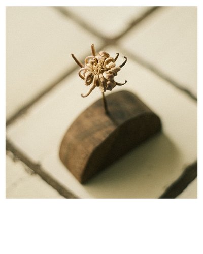 Celebrating the small things, the simple. One.