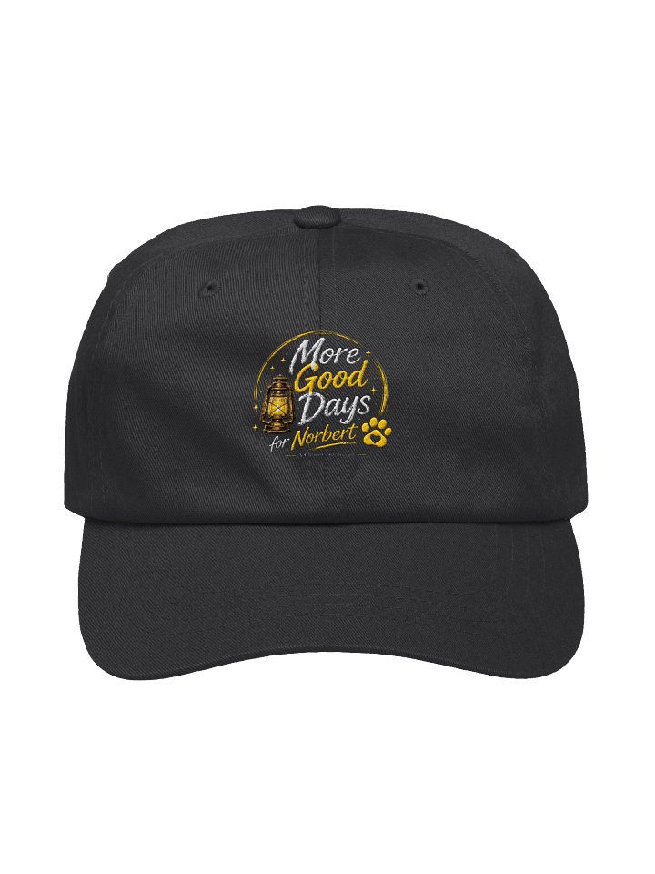 The Forest Lantern Cap product image (1)