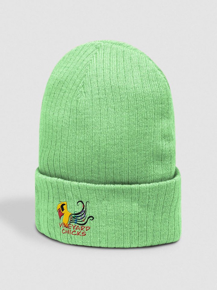 Vineyard Chicks Logo Ribbed Knit Beanie product image (11)