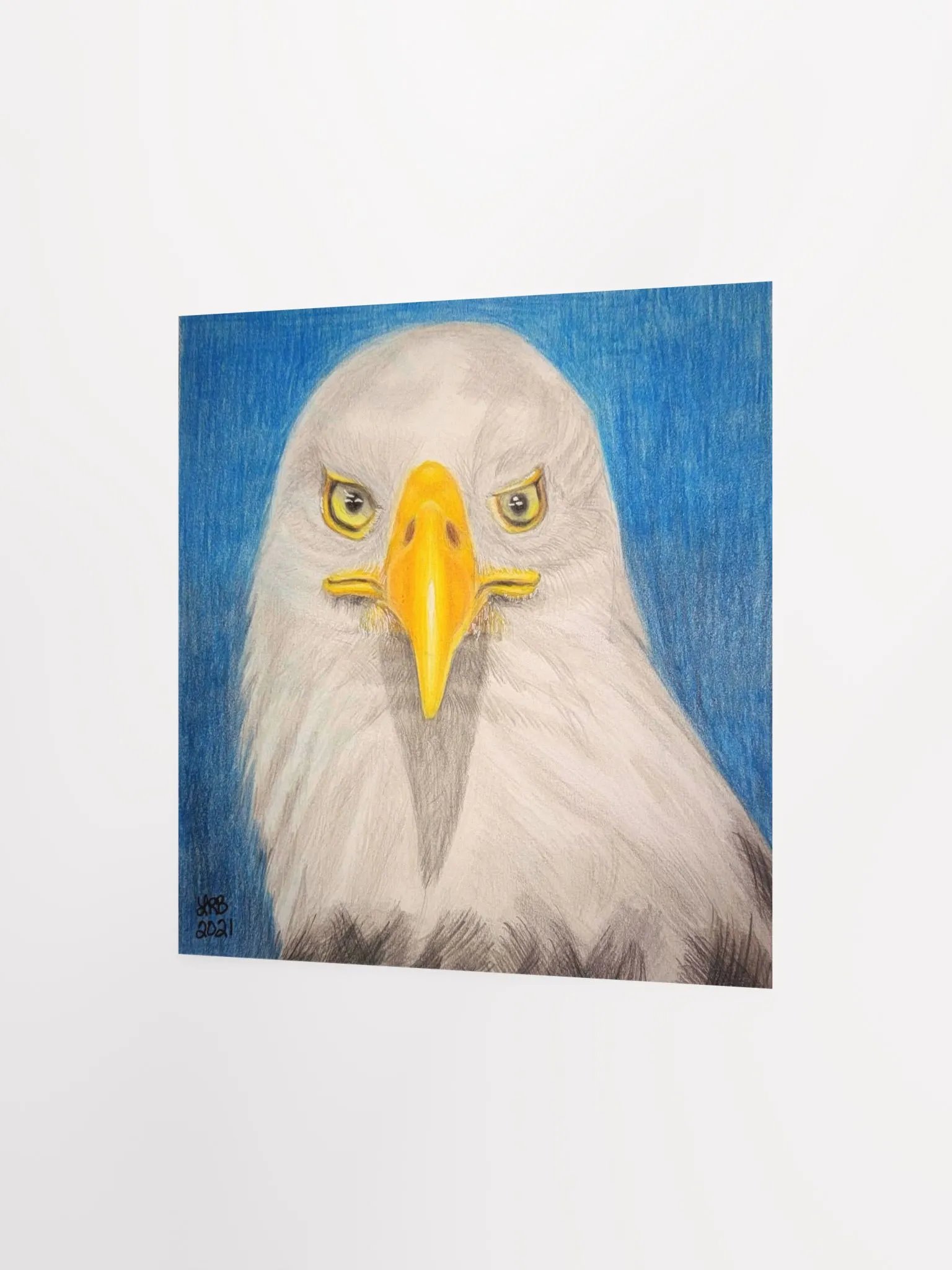 Bald Eagle Print product image (9)