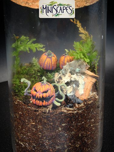 This week we are looking at our spooky pumpkins miniscapes, always time for a bit of spookiness and you can own these in time...