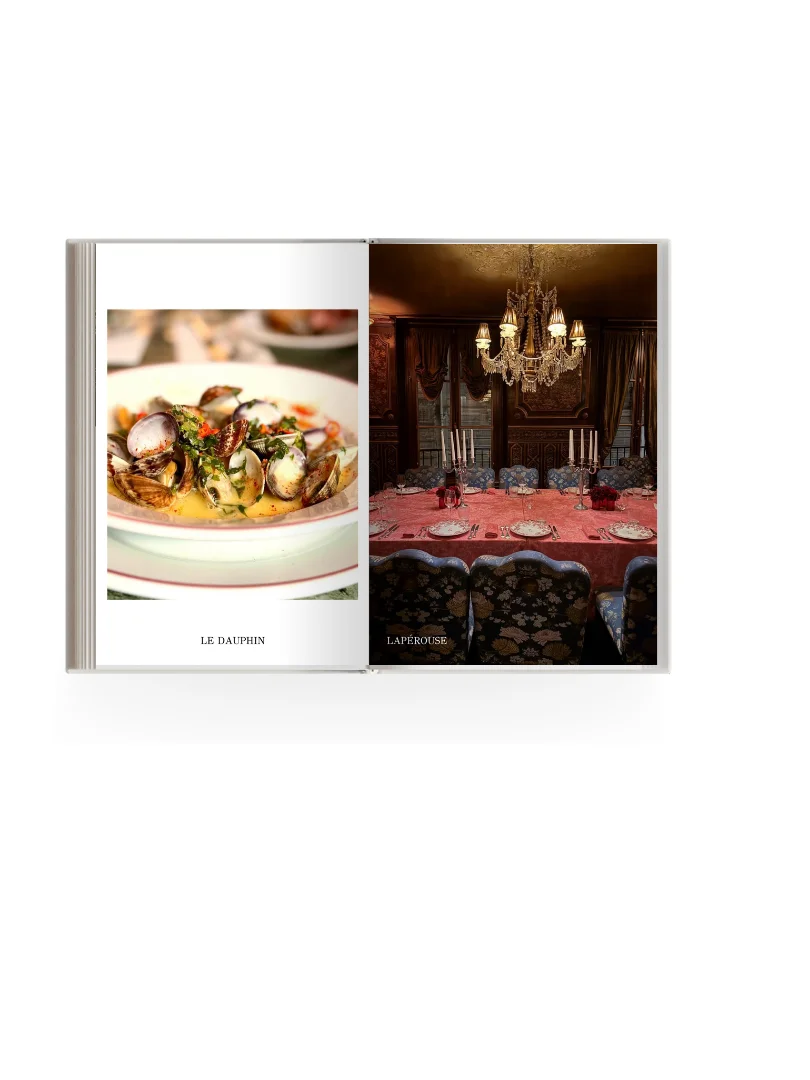 MOONTECITO: PARIS EDITION ONE product image (6)