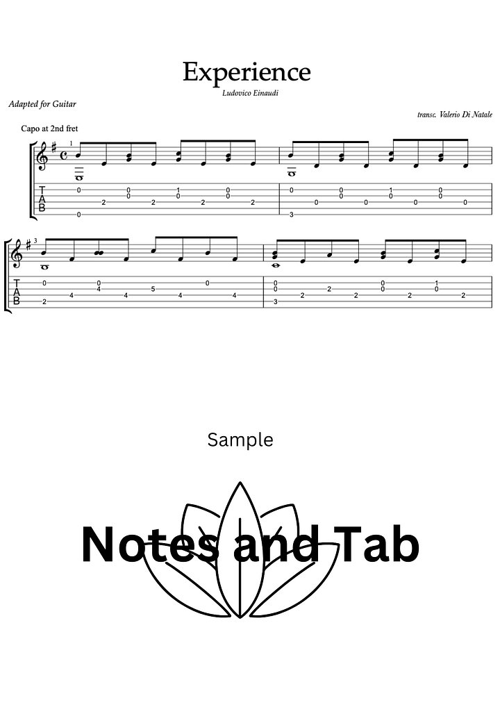 Experience by Ludovico Einaudi product image (2)