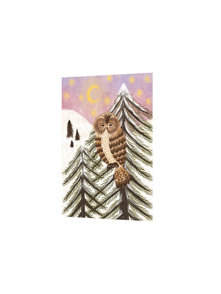 the winter owl product image (4)