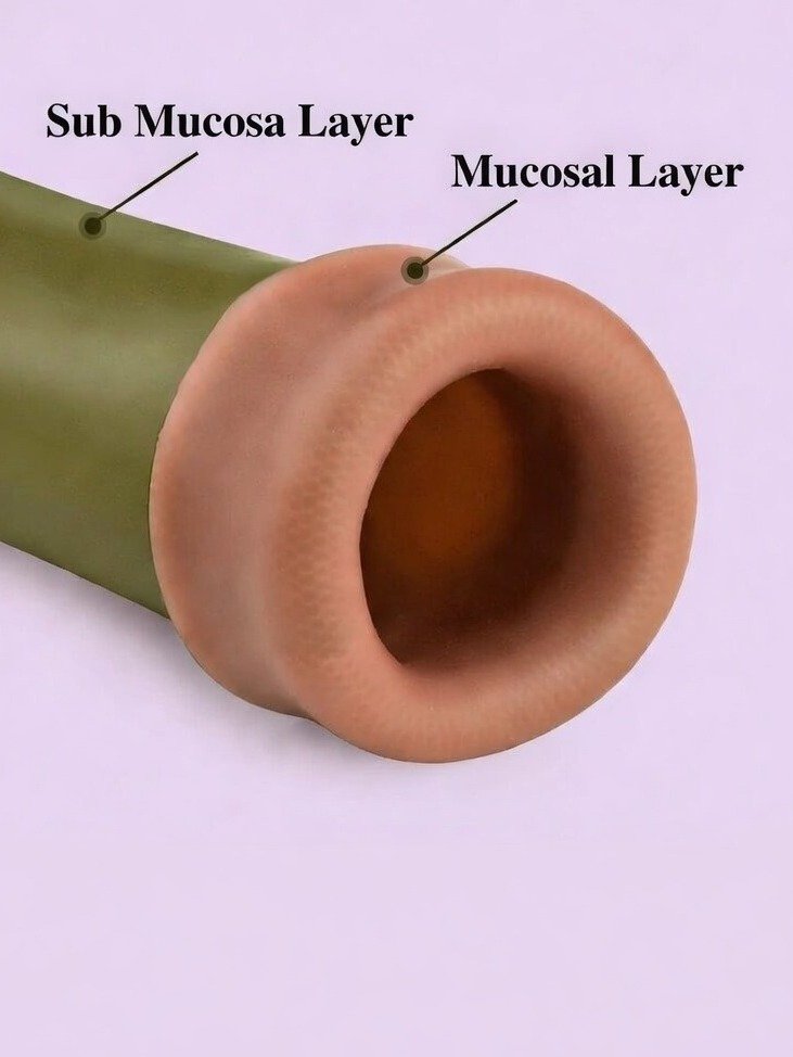 Intestinal Suture Model and Kit for Anastomosis Training product image (1)