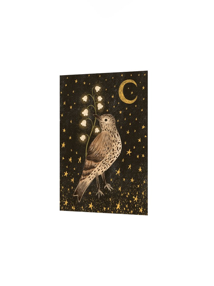 the pretty song thrush product image (4)