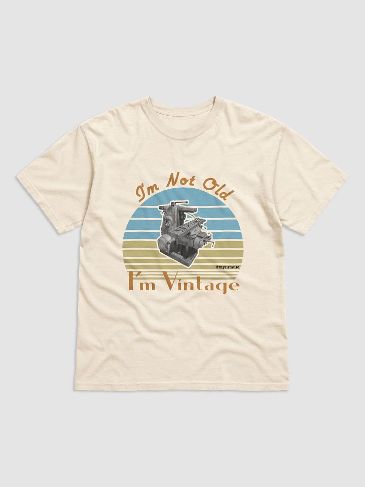 Heavyweight T-Shirt (2H) product image (1)