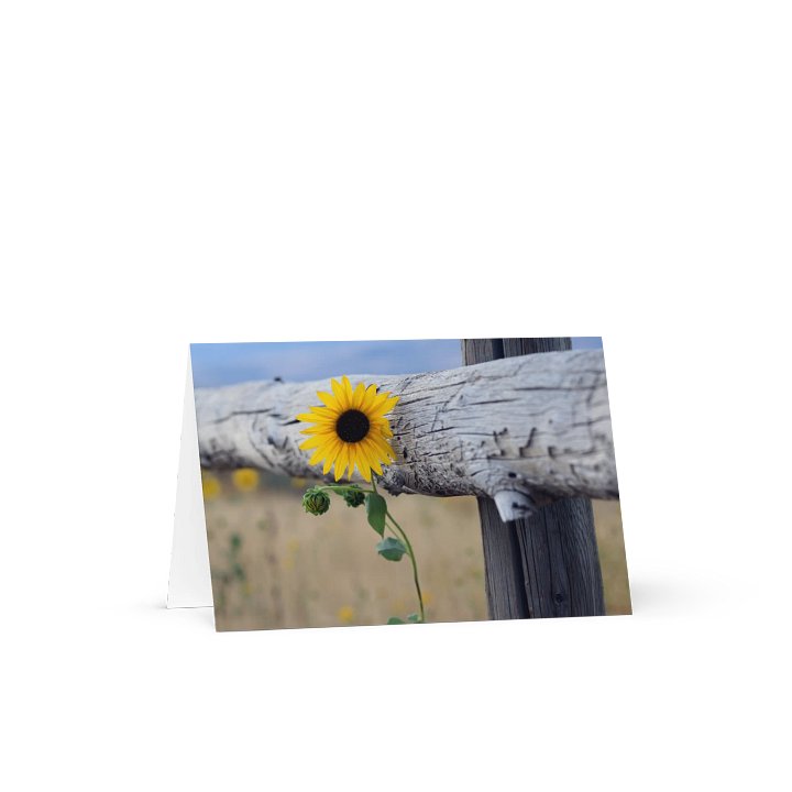 Sunflower Against A Fence Greeting Card product image (1)