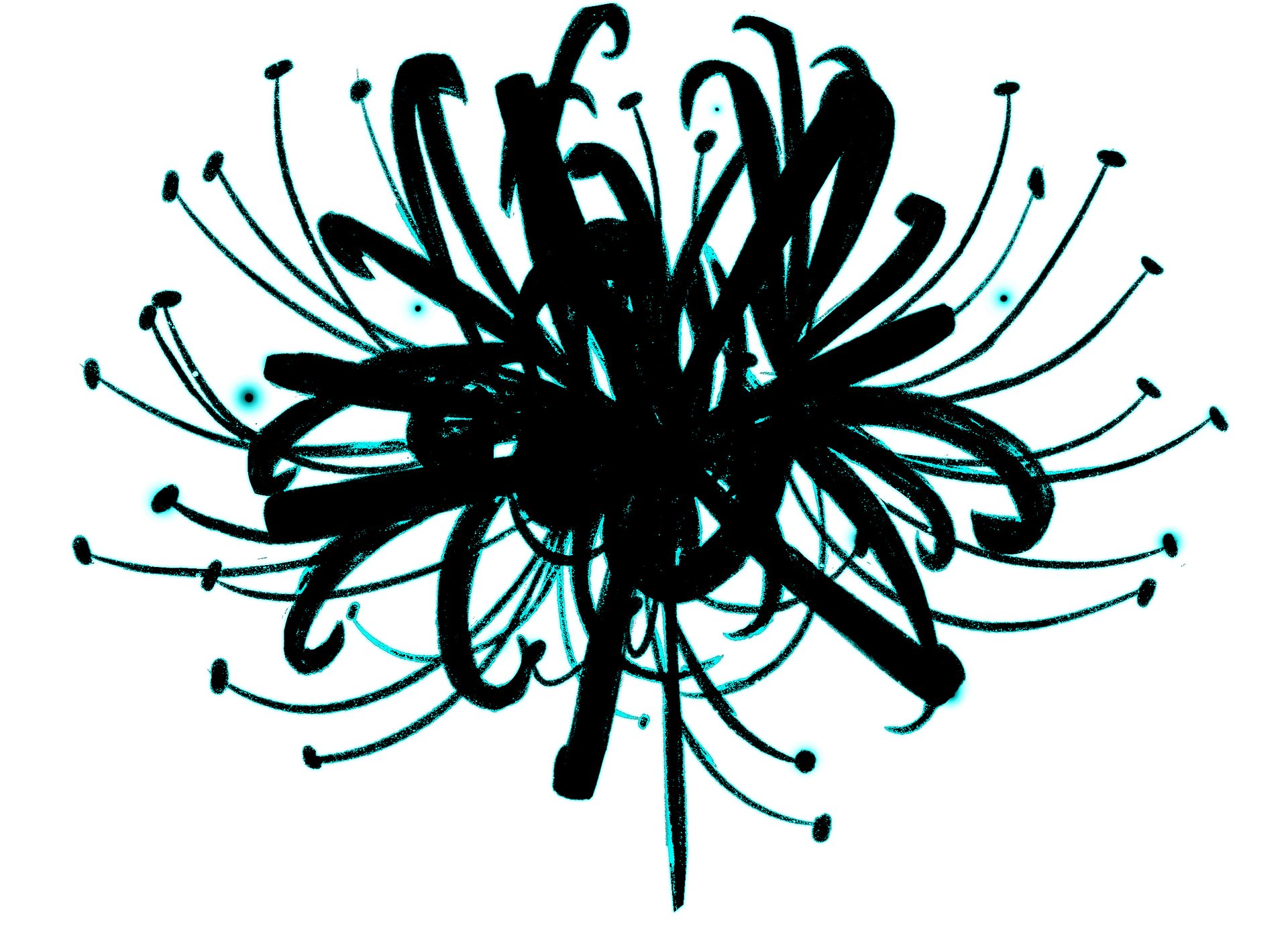 SPIDER LILY - AQUA product image (4)