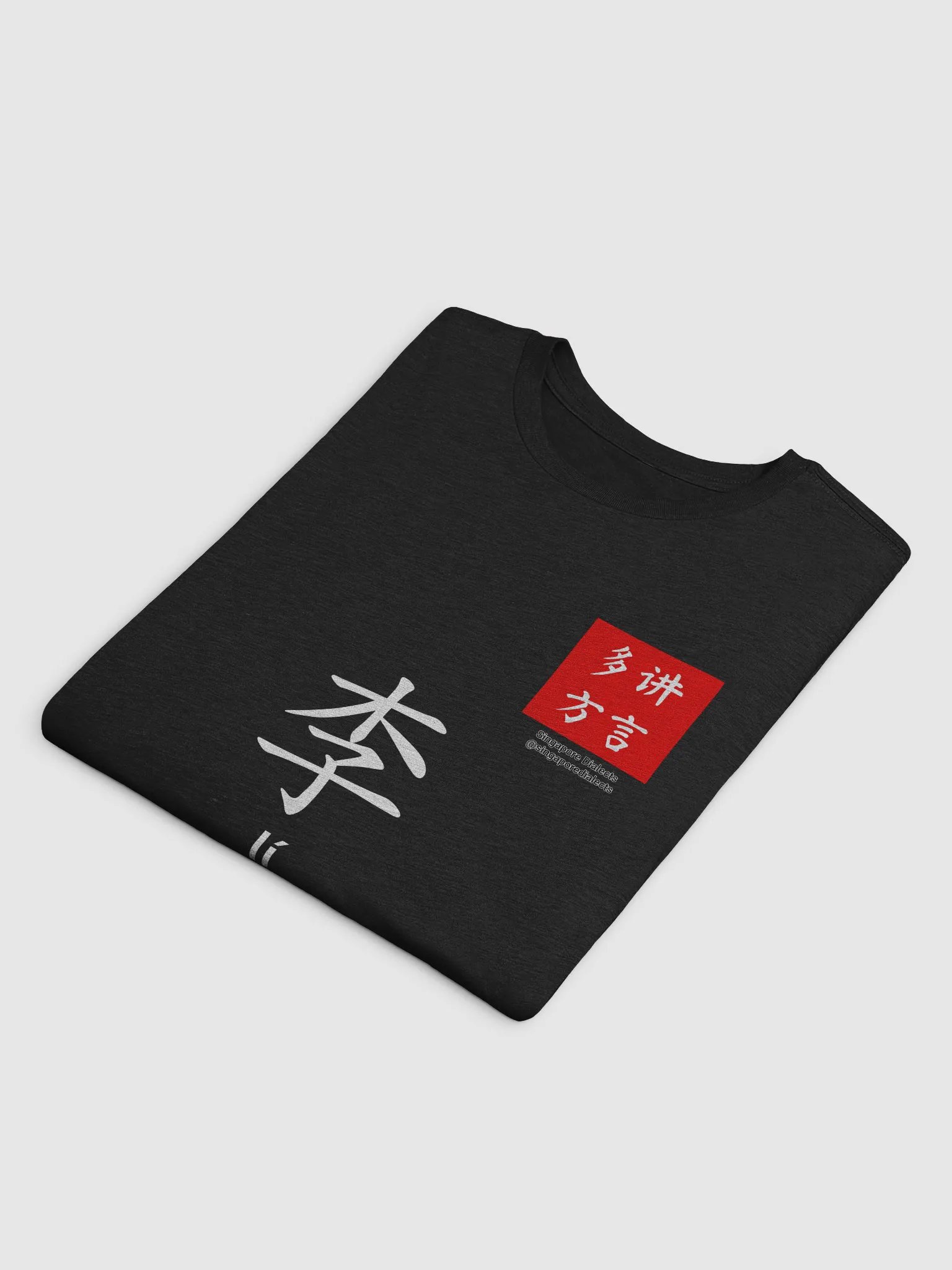 李 Lee (Hokkien) Surname T-Shirt (Dark) product image (4)