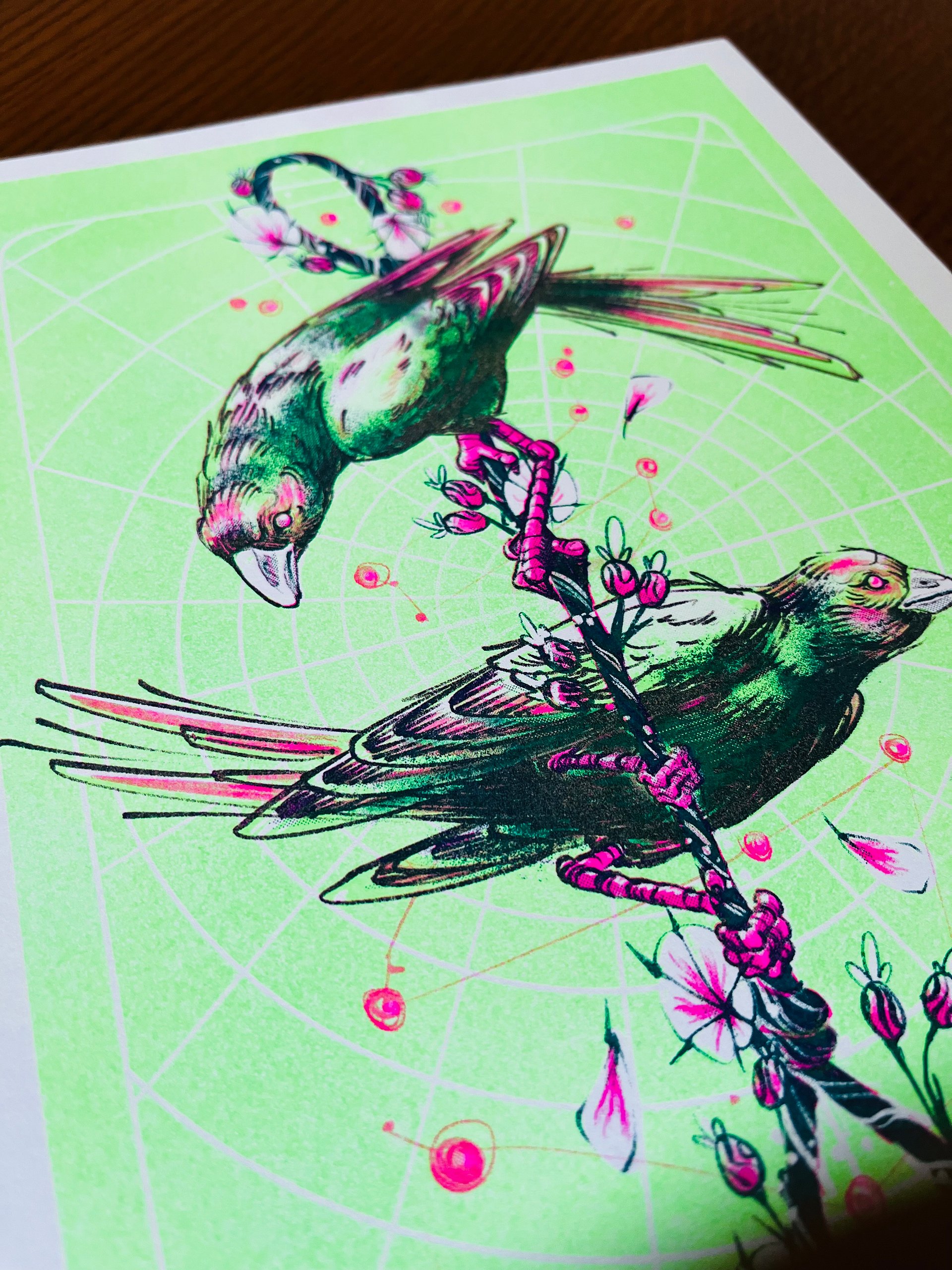 Birds product image (4)