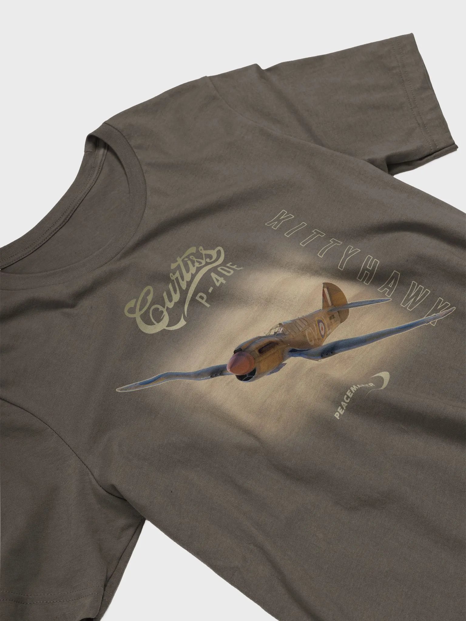 P-40E Kittyhawk product image (3)