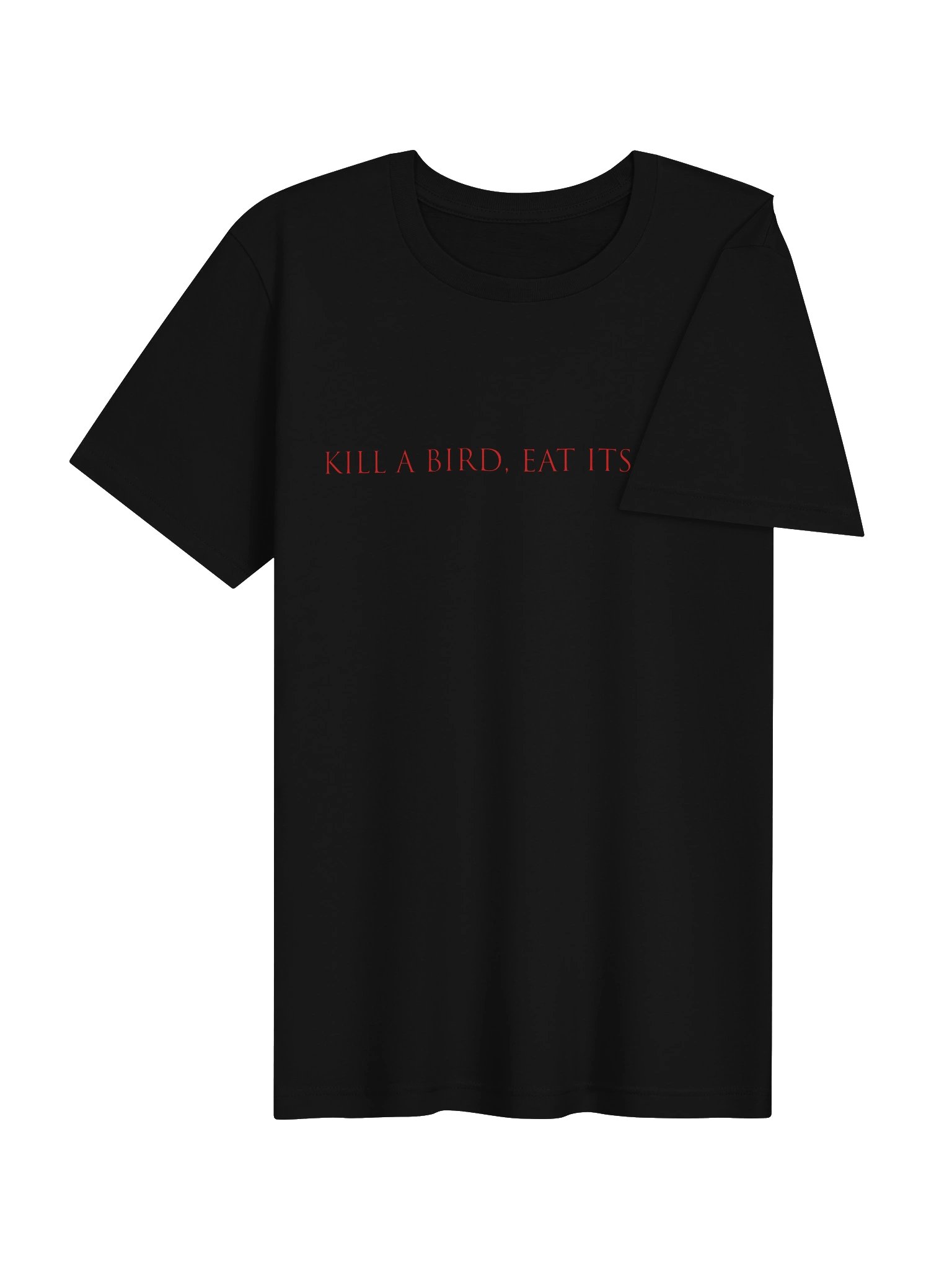The Proclamation [Kill a bird T-Shirt] product image (3)