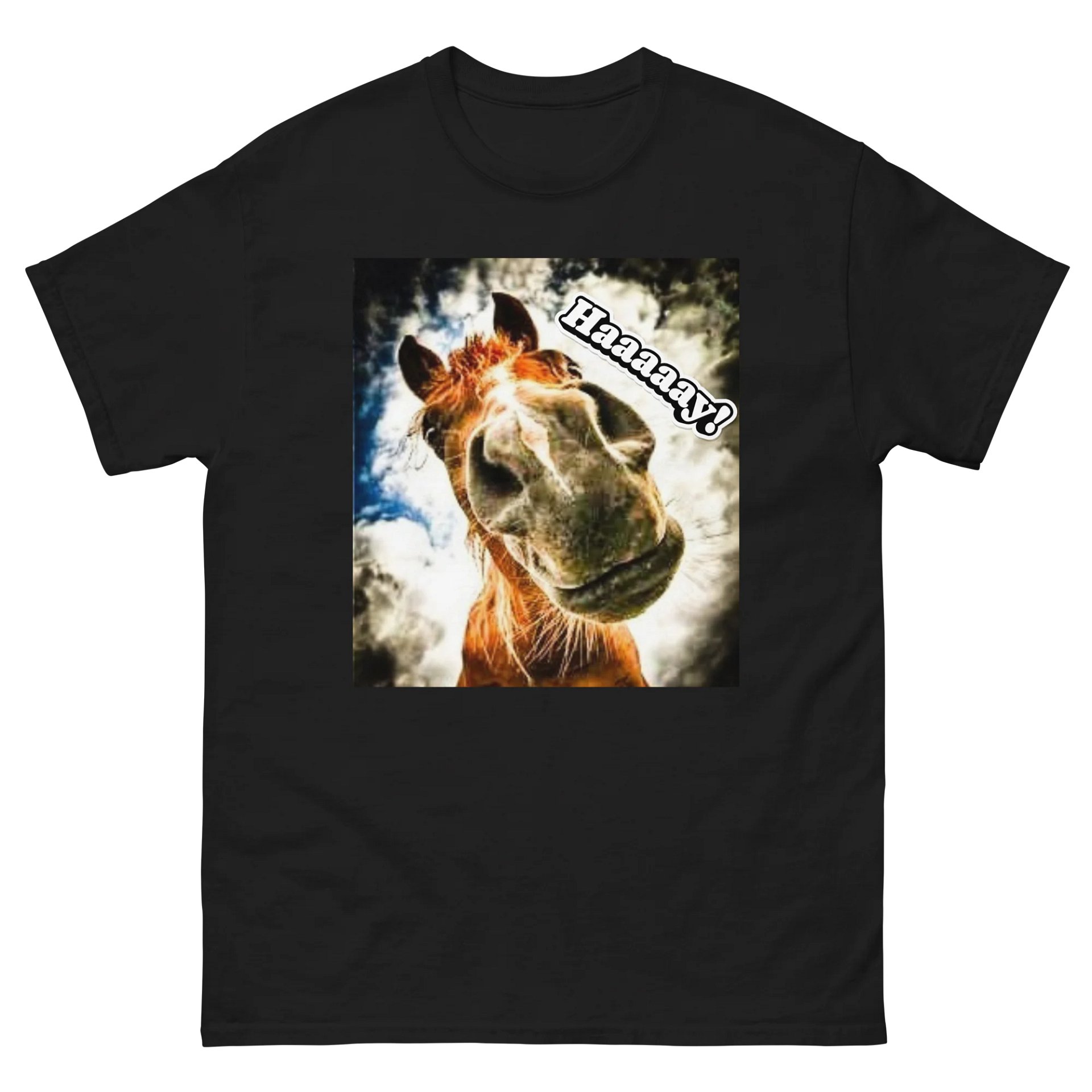 Haaaaay is for horses Tee product image (2)