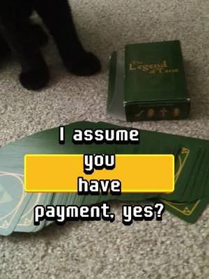 When a cat tells you your fortune... Today's tarot reading is Temperance reversed...  #cats #tarot #fortune #funny #comedy #blackcats #catsoftiktok #zelda #legendoftarot #temperance  #catson