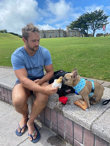 Throwback to TJs first ever pasty! 😋 

Look how happy he was 

#pasty #throwbackthursday #frenchbulldog #pasty #cornwall