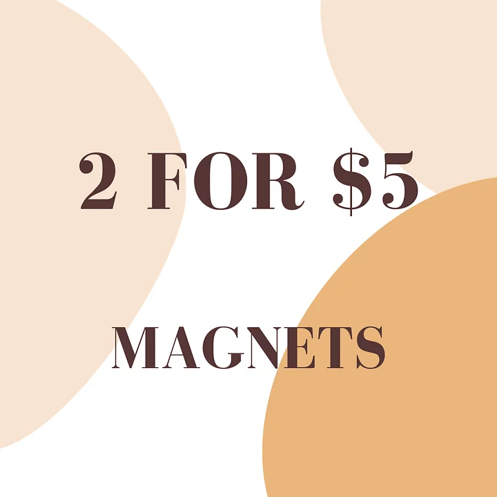 2 Mystery Magnets product image (1)