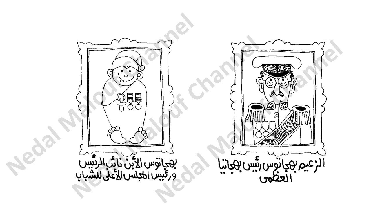 كتاب : الديكتاتورية للمبتدئين product image (3)