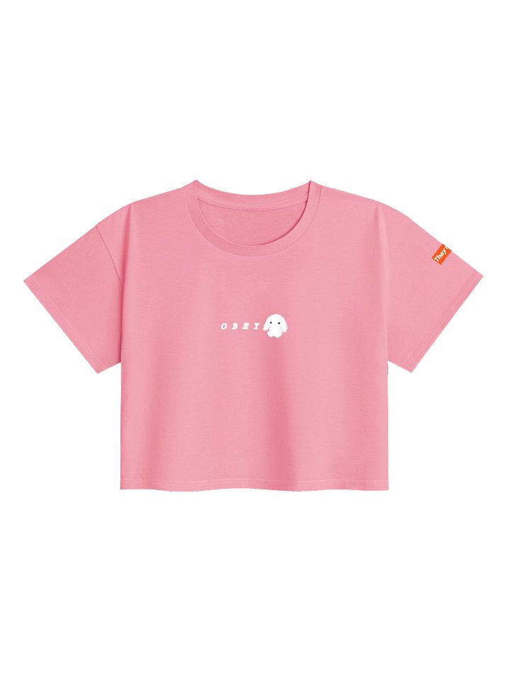 CT - 1 product image (2)
