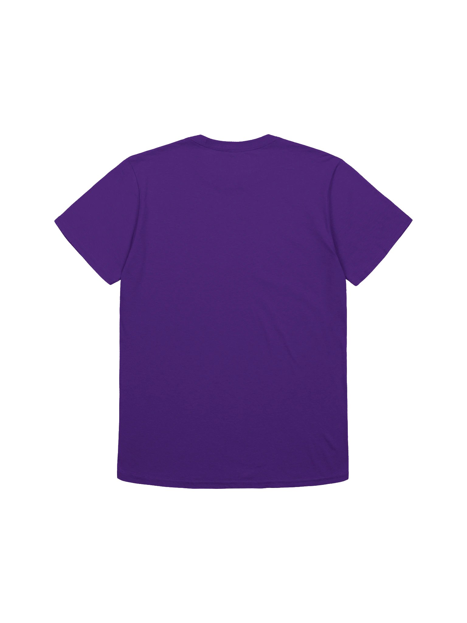 PvinGvng Classic Tee product image (13)