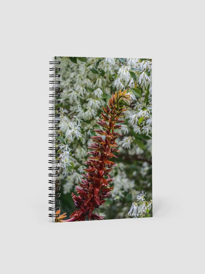 📓 Notebook Collection PURE – Jardin du Rayol – Fleur à franges & Mélianthus product image (1)