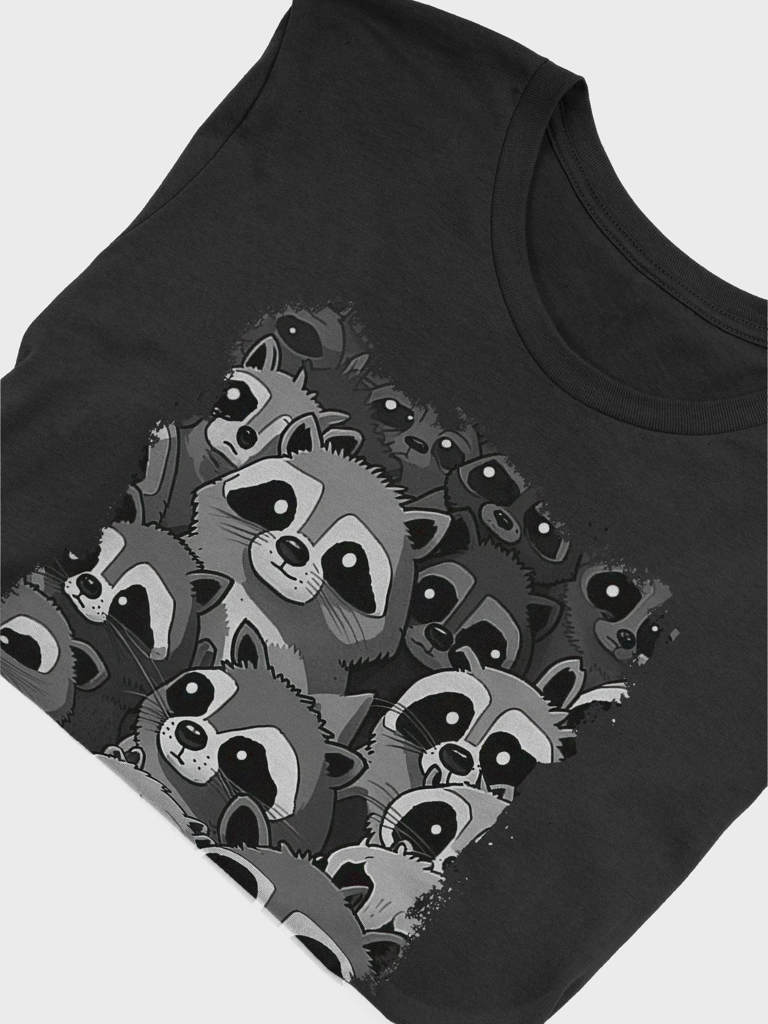 The Raccoons Inside V2 product image (36)