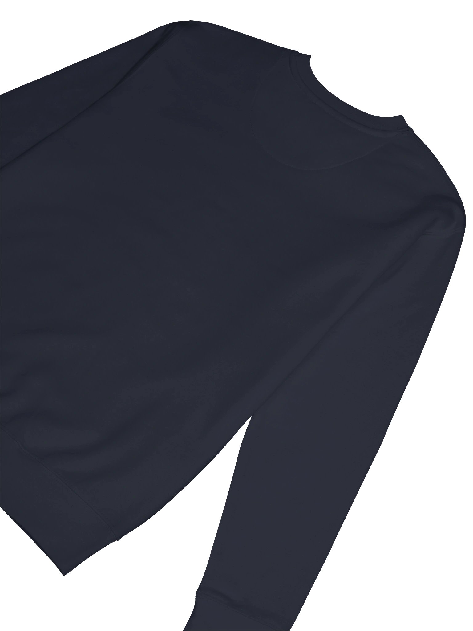 Dog Dad Club Crewneck Sweatshirt – Vintage Dog Dad Sweatshirt | Treats Walks Repeat product image (9)