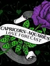 capricorn aquarius cusp ♥ love tarot forecast ♥ august 2026
